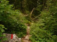 2014-08-02_06FritzPflaum-Steig (396).JPG